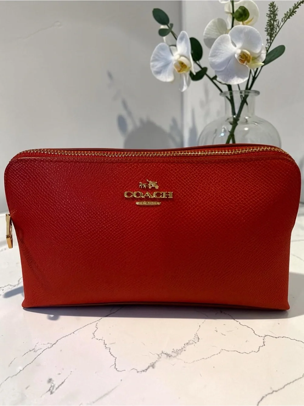 Coach structured cosmetic